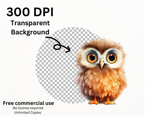 Watercolor Baby Owl PNG Bundle Digital Crafts Designs - Etsy