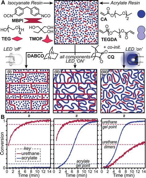 Overview Of Materials Conditions And Polymerization Kinetics For Download Scientific Diagram