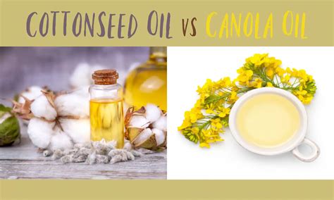 Cottonseed Oil Vs Canola Oil The Ultimate Verdict The Coconut Mama