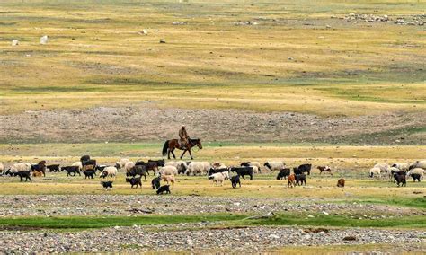 Steppe In Asia