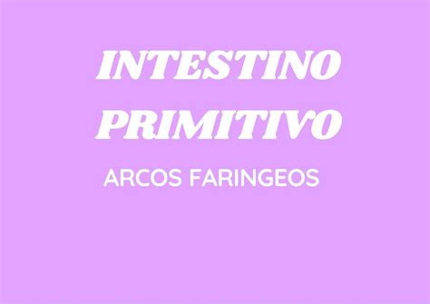 Intestino Primitivo Arcos Faringeos Cuestionario Anette Tristan Udocz