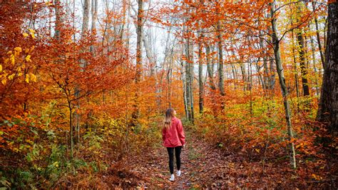 West Virginia Department of Tourism Releases Second Fall Foliage Report of the Season - Almost ...