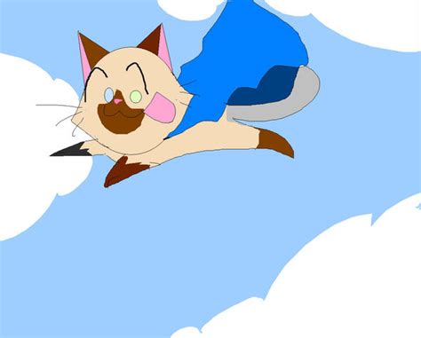 El Gato Volador By Lajaguar12 On Deviantart