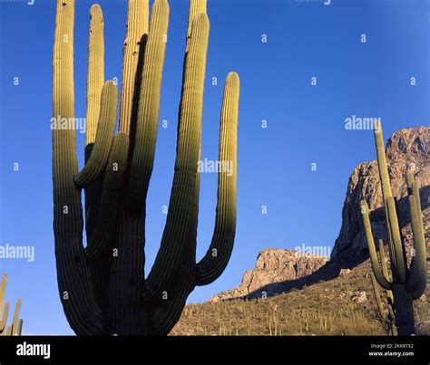 West Side Of The Dragoon Mountains In Southern Arizona Stock Photo Alamy