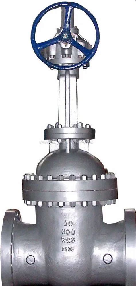 Cast Steel Globe Valve Class 150 300 And 600 Bolted Bonnet At Rs 25000