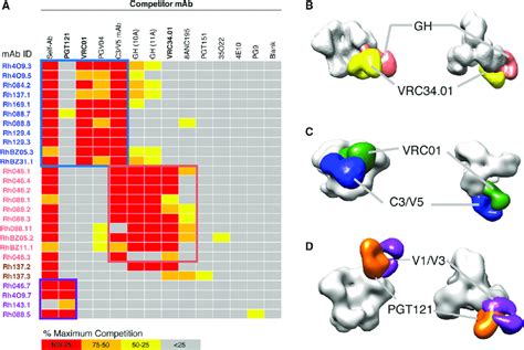 Strain Specific Nabs Block The Binding Of Bnabs To Hiv Env A Elisa