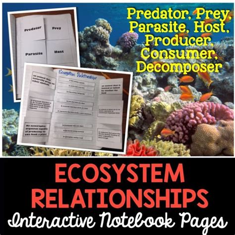 Ecosystem Relationships For Science Interactive Notebooks Templates