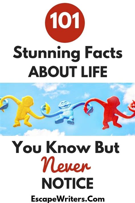 101 Interesting Facts About Life You Know But Dont Notice How To Be A Happy Person Fun Facts