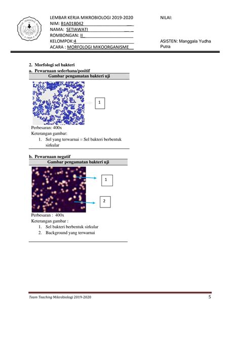 Solution Lembar Kerja Praktikum Mikrobiologi Acara Morfologi