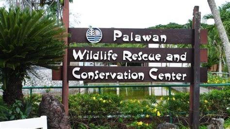 Crocodile Farm Palawan Wildlife Rescue Center In Puerto Princesa