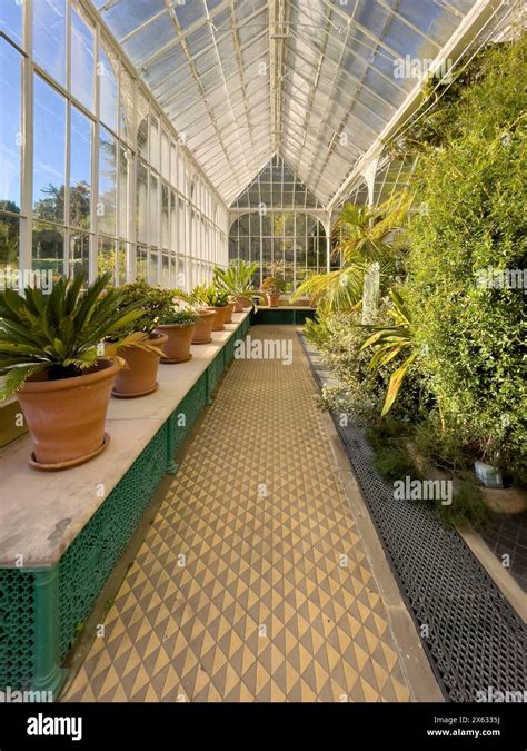 Victorian conservatory hi-res stock photography and images - Alamy