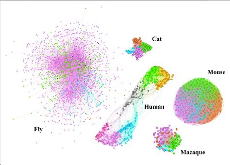 Community Topology Of Brain Structural Networks For Different