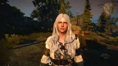 Fuck At The Witcher Nexus Mods And Community