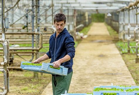 MSA Santé Sécurité en Agriculture