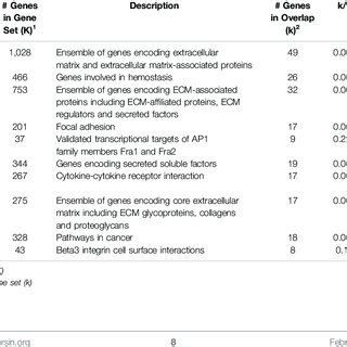 Canonical Pathways Differentially Expressed By Rb2 Rg3 Combination