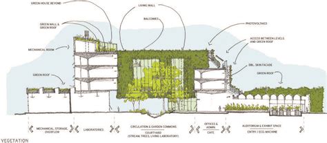 Nice Section Green Architecture Living Wall Vertical Garden Green