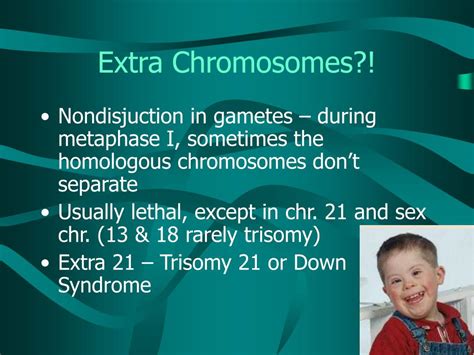 Ppt Human Genetics Powerpoint Presentation Free Download Id6781516