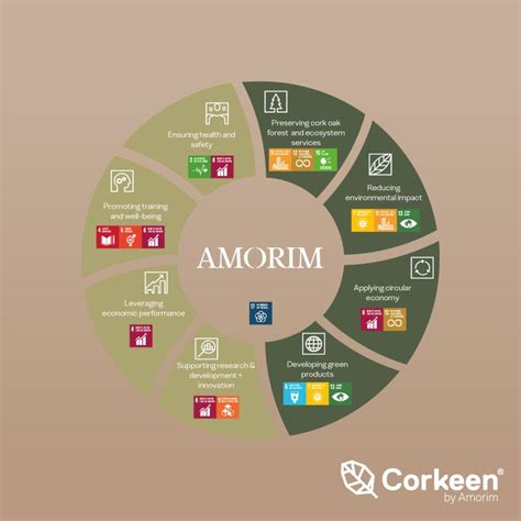 Carlos Duarte on LinkedIn: Amorim Group