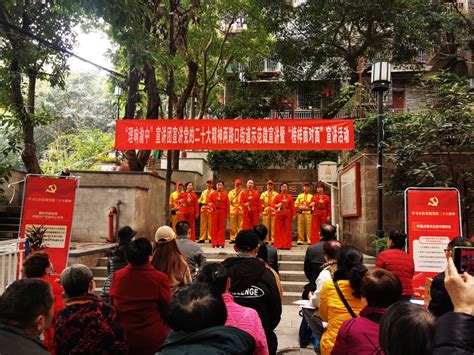 渝中区两路口街道宣讲党的二十大精神 党的政策好 幸福花儿开 重庆日报网