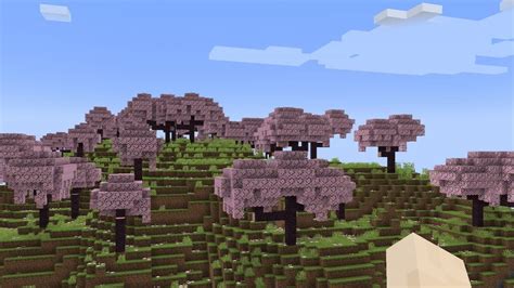 Cómo Encontrar El Bioma De Flor De Cerezo En Minecraft