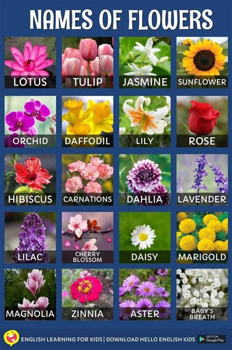 Pin By Deanna On Strawberry Beds Flower Names Pretty Flower Names Flower Chart