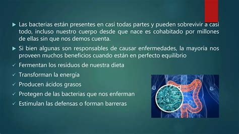 Importancia De Las Bacterias Ppt