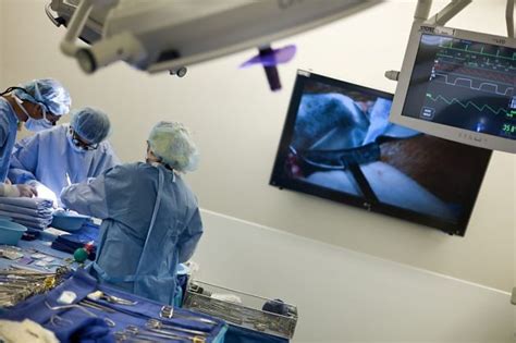 First 3d Bioprinted Transplantable Organ To Be Unveiled In Early 2015