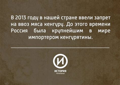 Кенгуру | Пикабу