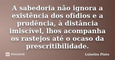 A Sabedoria Não Ignora A Existência Luiselza Pinto Pensador