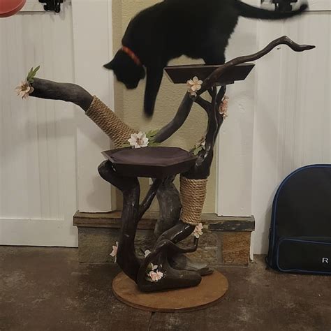 Driftwood Cat Tree Etsy