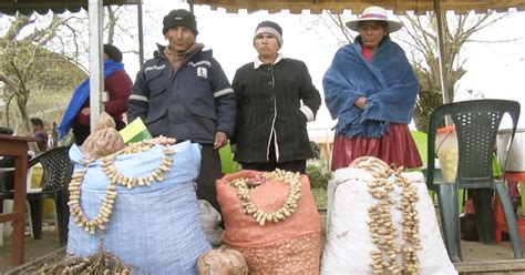 Exportación de maní Ventas externas crecen un 6 7 en ocho meses La