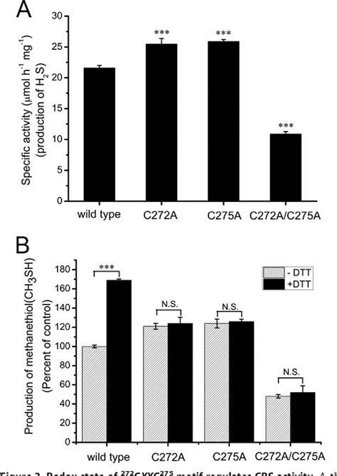 Figure 3 From Allosteric Control Of Human Cystathionine β Synthase