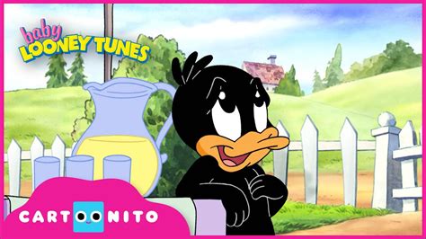 Baby Looney Tunes Business As Unusual Cartoonito Youtube