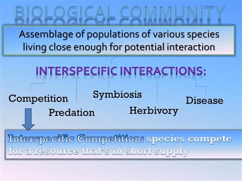 Ppt Chapter Community Ecology Powerpoint Presentation Free