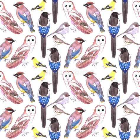 Wild Birds Watercolor Seamless Background Birds Of Usa Stock