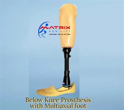 Functional Prosthetic Below Knee Prosthesis Mechanical At Rs In