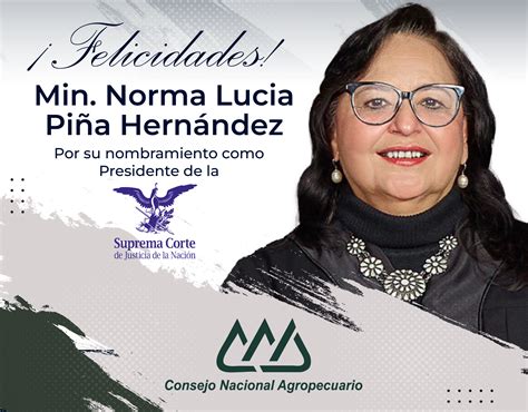 El Cna Felicita A La Ministra Norma Luc A Pi A Hern Ndez Por Su