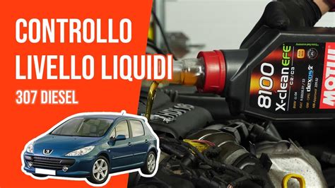 Controllo E Rabbocco Livello Liquidi Hdi Youtube