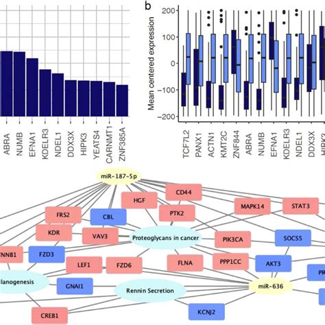 Qpcr Rq Relative Quantification Box Plots For A Fer B Glmn C