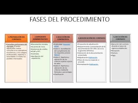 Contratos Del Sector P Blico Fases Del Procedimiento De