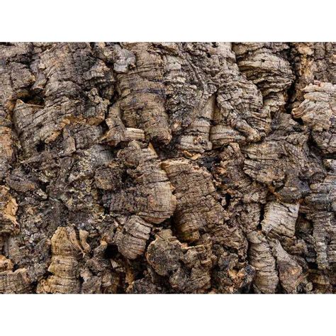 Josh's Frogs Natural Virgin Cork Sheet - Pet Supplies online sale