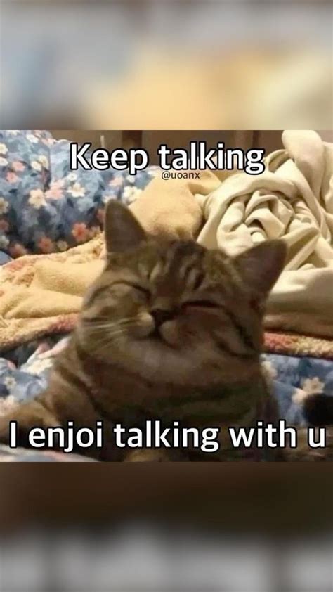 Cat meme | Funny baby jokes, Cartoon love quotes, Baby jokes