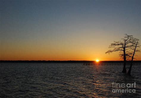 Reelfoot Lake Sunrise 2 Photograph By Tom Williams Fine Art America