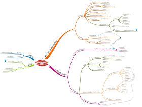 Medical MindMaps For USMLE Step 1 Sympathetic Adrenergic Agonists And