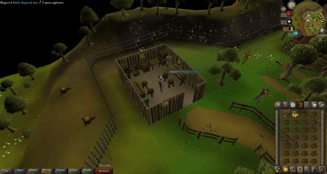 Woodcutting Guilde OSRS Guide - Rune Fanatics