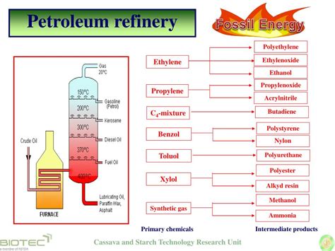 Ppt Promise Of Cassava In Biorefinery Powerpoint Presentation Free