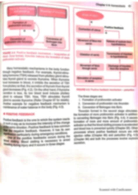 Solution Homeostasis General Physiology Notes Studypool