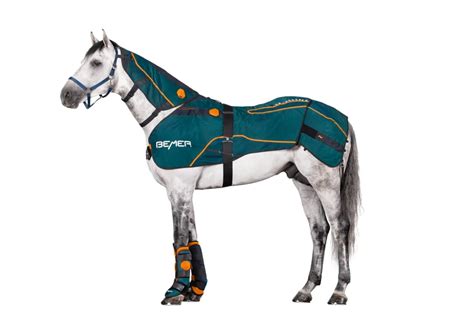 BEMER Horse Set (V3) Life Improved BEMER Rentals, 60% OFF