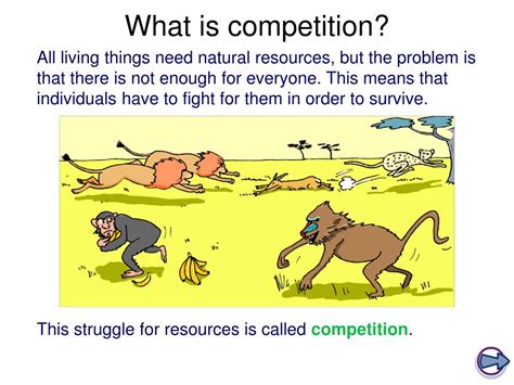 PPT - Competition in Animals PowerPoint Presentation, free download ...