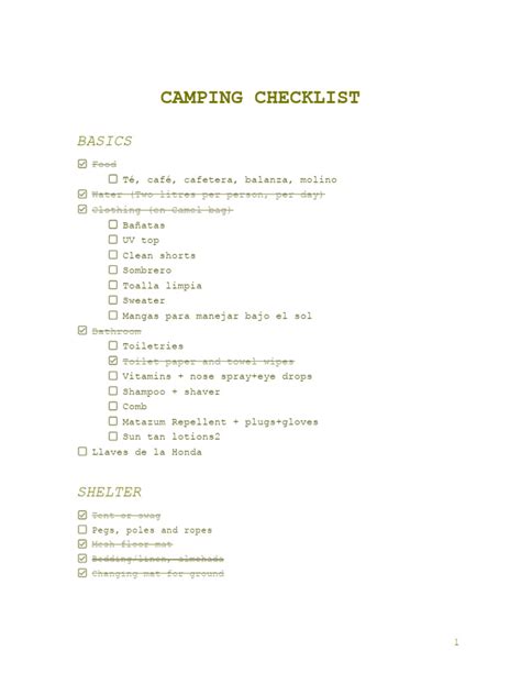 Camping Checklist | PDF | Domestic Implements | Manufactured Goods